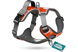 Embark Pets Adventure Dog Harness, No Pull Dog Harness with 2 Leash Clips, Medium Anti Pull Front & Back with Control Handle, Adjustable, Soft & Padded