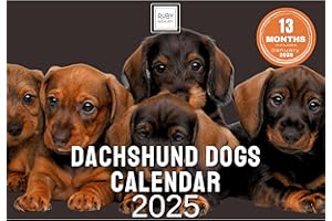Dachshund Calendar 2025 - Space For Notes Across 13 Months. Beautiful Images Of Dachshund Dogs & Puppies. Recyclable 2025 Calendar Printed in UK by Ruby Ashley®