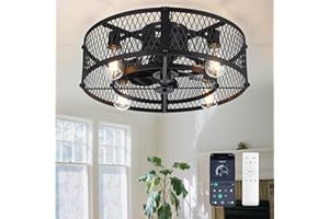 Depuley Ventilateur de plafond avec cage et éclairage: ventilateur de plafond noir de 50 cm avec commande via application pour chambre à coucher - Ventilateur de cuisine style fermier avec éclairage