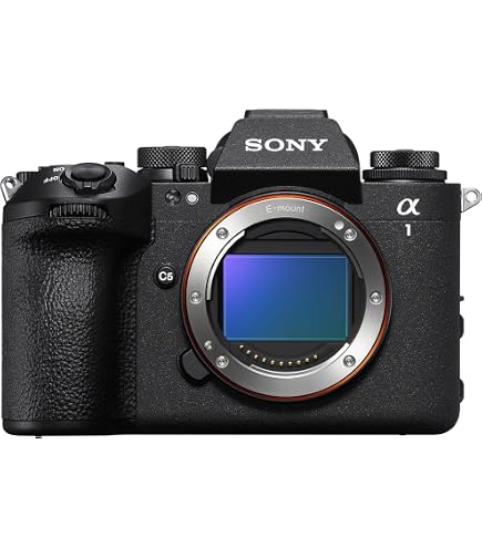 Sony Alpha 7 II Interchangeable Lens Mirrorless Camera with Full