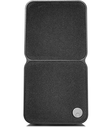 Enceinte Amplifiée Yamaha DXR10 MK2 - Haut-parleur Bi-amplifié 132 DB Portable Professionnel