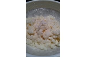 THE KEFIR COLLECTION Live RAW Milk Kefir Grains culture (Tablespoon)