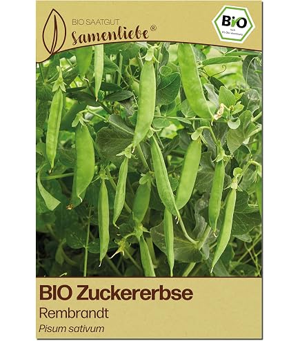 saatgut rotklee Rotklee Samen (5.000 Samen / 10 g)  Bienenfreundliche Wildpflanze   Gardenox-Natur