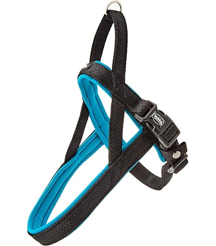 Nobby Leine FLASH MESH Rot – 120 Cm Lang, 25 Mm Breit, Mit Reflektorstreifen & USB-Aufladung, Bis 400 M Sichtbar