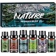 Coffret Aromathérapie Huiles Essentielles - Parfum Camphrier, En Verre, Fabriqué En France