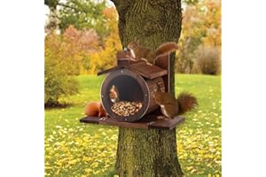 GATPHY Futterhaus Eichhörnchen Wetterfest mit Runden Transparentes Fenster Futterstation Eichhörnchen Stabiles für Draußen Futterstation mit Belüftungslöchern für Baum Zaun Befestig(Rundes Fenster)