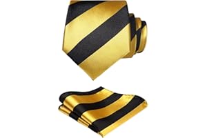 HISDERN Matrimonio a righe Cravatta Fazzoletto Cravatte da uomo & Pocket Square Set