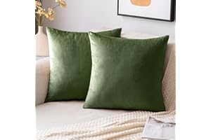 EMEMA Funda de cojín de terciopelo, 40 x 40 cm, cojín decorativo verde matcha, cojín lumbar, funda de almohada con cremallera oculta, para dormitorio, sofá, juego de 2 unidades