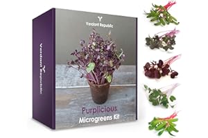 Grow Your Own SUPERFOOD - PURPLICIOUS MICROGREENS KIT by Verdant Republic | Sprouting Seeds Beginners Gardening Gift Set | Harvest in 2 Weeks | 5 Seed Varieties