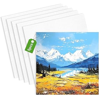 Set Di 5 Tele Per Dipingere 20x20 Cm - Telaio In Cotone Per Artisti