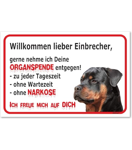 Rottweiler Videoüberwachung Schild – Alu-Schild In Edelstahloptik 15x10 Cm – Wetterfest & Made In Germany