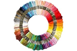 PLIMBIN 100 Couleurs Fils Bracelet Brésilien, Fils Broderie Kit Coton Fil à Broder Embroidery Fils à Coudre Outils Accessoires pour Débutants et Amateurs de Broderie Professionnels