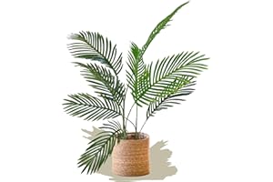 Maia Shop | Palmera Artificial | Plantas Artificiales Decorativas | Medidas: 80 x 60 cm | Planta Artificial Realista | Palmera Areca Artificial | Decoración