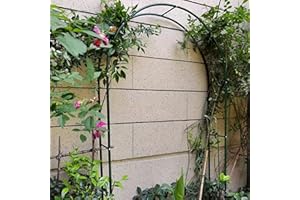 Arche Rosier Jardin en Métal,Treillis D'arche De Jardin Tonnelles,pour Plantes Grimpantes,Pergola De Gloriette Fer Forge,Résistant Aux Intempéries,Arc De Vrille D'arche,Jardin Pelouse Mariage