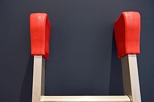 LADDERMAT LadderPads - Anti-Slip Pads/Mitts for Standard Extension Ladders