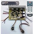 TECH AND TRADE 2050 IC Based 2.1 Stereo Audio Amplifier DIY Kit