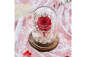 AOKKR Ewig Rose im Glas, Echte Rote Rosen Konserviert mit LED-Licht, Infinity Rose für Mädchen, Exquisite Rosen-Geschenkbox eignet Sich für Valentinstag, Hochzeit, Muttertag, Geburtstag