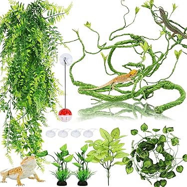 Muschio Per Terrario Zoo Med Frog Moss - Naturale, Vivente, 1.3L Per Anfibi E Rettili, Aumenta Umidità - Foto 6