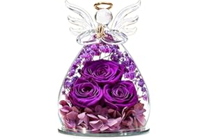 Beferr Christmas Angel Rose Gifts for Mum,Birthday Gifts for Women,Preserved Flower in Glass Angel Figurine Dried Gift for Mum Wife Grandma Sister On Christmas Valentines Anniversary