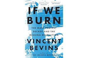 If We Burn: The Mass Protest Decade and the Missing Revolution: 'as good as journalism gets'