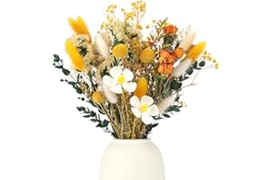 Vyuwast 30 Stück Trockenblumen Deko Gelb Set Don't Forget Me Natürliche Getrocknet Blumen Dried Flowers Pflanzen Blumenstrauß Boho Deko für Wohnzimmer Home Hochzeit Vasen Tischdeko