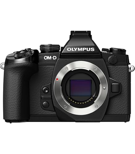 Olympus OM-D E-M5 Mark III Micro Four Thirds Sistem Kamerası