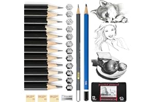 Vicloon Lápices de Dibujo Profesionales, Caja de Metal que Incluye 14 Lápices, 1 Sacapuntas, 3 Gomas de Borrar, 12B 10B 8B 7B 6B 5B 4B 3B 2B, Escritura suave, Apto para Pintores y Niños