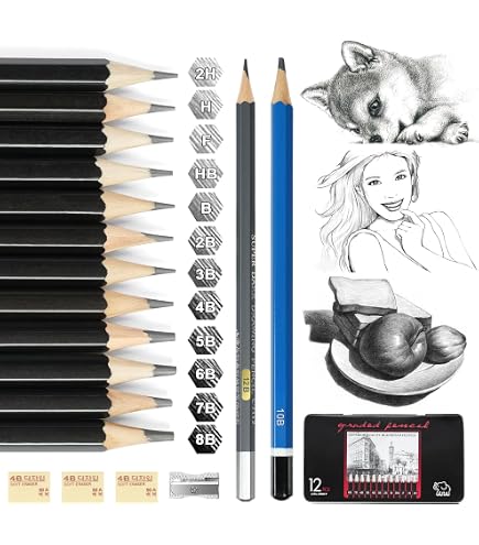Wonwood_direct Set di matite da disegno da 12 pezzi per schizzi con matite di grafite da 2H a 8B per bambini, adulti, disegni, amanti del disegno