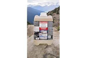 5 Litros 5000ml Tanque, Bidón Caravano y Limpiador de Barcos Camping Limpio Producto Limpieza Camper Detergente Patrón Necesidad Accesorio Vela Lancha Motor Cuidado cleanprince