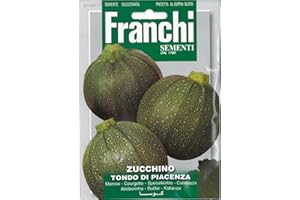 FRANCHI SEMENTI SEMENTI DI ORTAGGI DI QUALITA' PER USO HOBBYSTICO PROTETTE IN DOPPIA BUSTA (ZUCCHINO TONDO DI PIACENZA)
