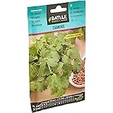 Semi aromatici di Batlle - Coriandolo (10g)