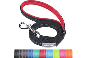 VIVAGLORY Dailyx Dog Lead, Dog Leash for Training & Walking with Soft Padded Handle, Heavy Duty & Double Layer Nylon for Pet Puppy, 90 x 1.4cm, Black