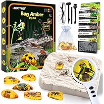 AMOSTING Kit De Excavación De Fósiles De Ámbar Con 6 Insectos, Herramientas Y Lupa, Juego Educativo Para Niños 6-12 Años