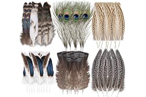TNEDFOD 48 Stück Feder-Dekoration, flauschige Federn, Vogelfedern, für kreative Hobbys, DIY, Traumfänger, Basteln, Hochzeitsfeier, Innendekoration