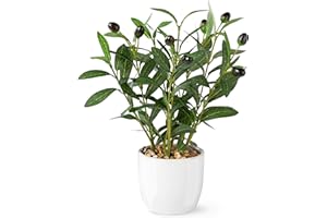 PASCH® Sztuczne drzewo oliwne (34 cm) w białej doniczce ceramicznej: sztuczne rośliny jak prawdziwe | sztuczne rośliny w doniczce | sztuczna roślina oliwkowa | sztuczne kwiaty w doniczce