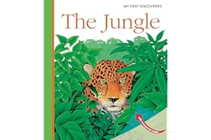Jungle: Volume 18 (My First Discoveries)