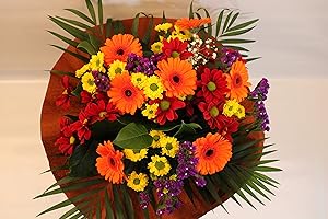 MORNING FLOWERS Autumn Burn Fresh Flowers Delivered -Next Day Prime UK Delivery Special Flowers Autumn Burn Bouquet is A Lovely Gift for All Occasion Birthday-Thank You/Get Well Soon