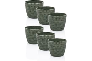 ‎IDEA-STATION idea-station ECO Blumentopf 6 x 10.8 cm - grün - 30% Holzanteil - Pflanztöpfe Kunststoff - Kräutertopf Set