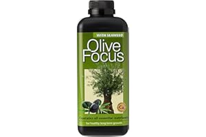 GROWTH TECHNOLOGY Olive Focus Liquid Concentrated Fertiliser 1 Litre