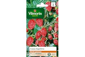 Vilmorin 3585042 Pack de Graines Fraisier 4 Saisons Suprême