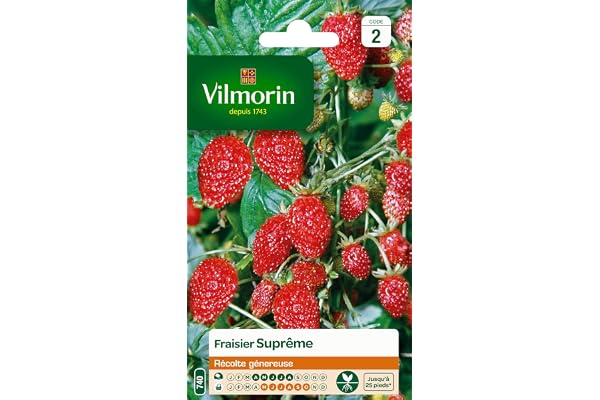 Vilmorin 3585042 Pack de Graines Fraisier 4 Saisons Suprême
