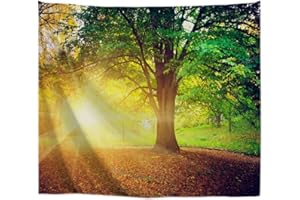 A.Monamour Arazzo da Parete Mandala Mattina Di Sole Luce Del Sole Brillante Attraverso La Foresta Di Alberi Nel Paesaggio Naturale Del Parco Telo Tessuto Tenda Tovaglia Arazzi Murale Decorazione