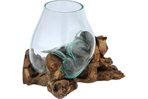 WOGEKA Gamal Root Wood Glass Vase, Gift, Decoration, Glass Diameter 12 cm, Teak Wood, SS