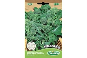 Germisem Temporao Semi di Verdi Rapa 20 g