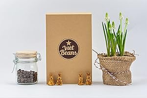 ‎VIETBEANS VietBeans Probierset - Vier spannende Kaffeesorten für Kaffeeliebhaber - Geschenkset - 4 Exklusive Kaffeespezialitäten – Kaffeegeschenk… (Gemahlener Kaffee)