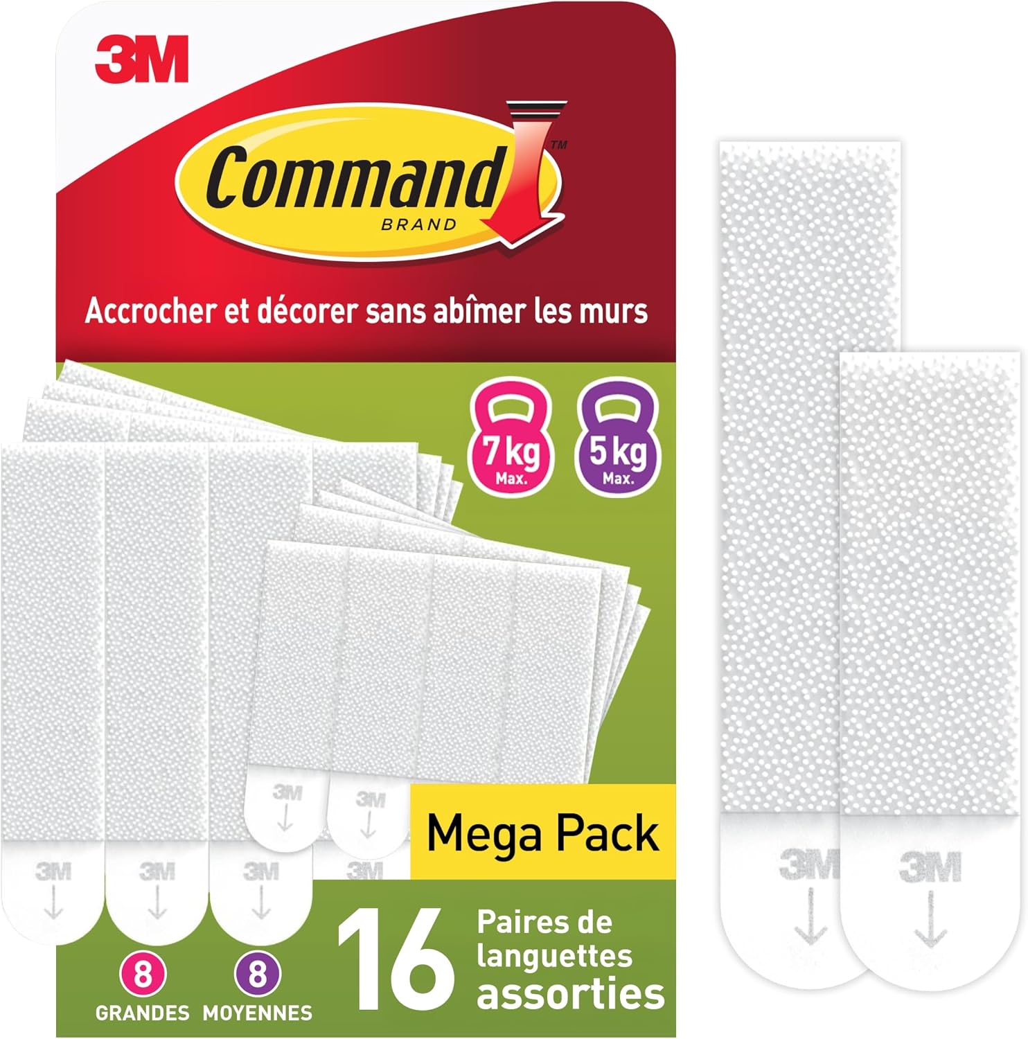 Vue 8