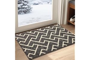 BISCPRO Mata do drzwi wewnętrznych, antypoślizgowa gumowa mata przednia, 20 x 31,5 cala, chłonna i odporna na zabrudzenia, wycieraczka wejściowa do wewnątrz, mata podłogowa do prania w pralce