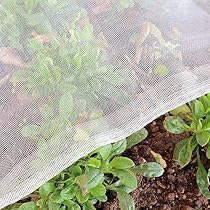 vidaXL Schommelbank Grenenhout - 110 x 65 x 60 cm - Groen geïmpregneerd