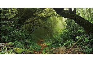 MIRRORANG 91x41cm Fond de réservoir de Poissons de Terrarium de forêt Profonde Fond d'aquarium Tropical Vert Brumeux énormes Arbres Fond d'habitat de Reptiles Fond de Vinyle