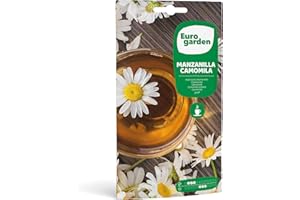 FITO Eurogarden - Semillas de Manzanilla Camomila, Planta aromática para infusión, 1 g - 648